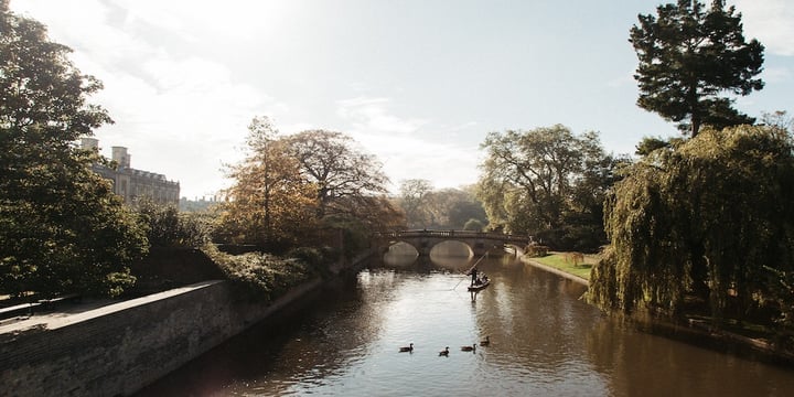 A-canal-with-a-bridge-and-large-trees.